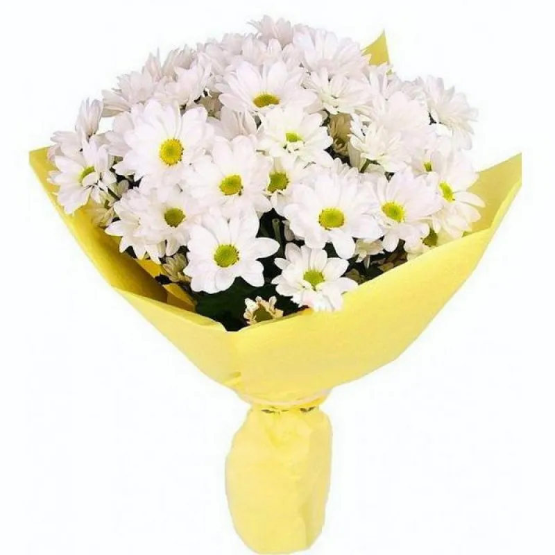 Букет из белых ромашковых хризантем, доставка Сидельниково